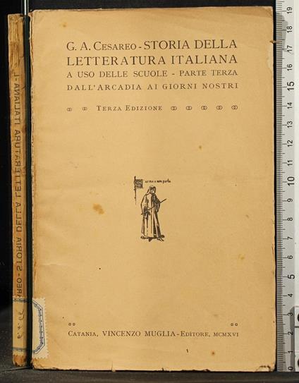 Storia della letteratura Italiana. Parte terza - Vincenzo Cesareo - copertina