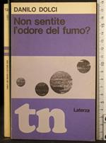 Non sentite l'odore del fumo?