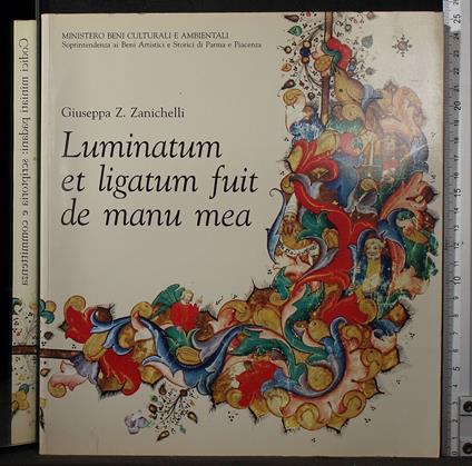 Luminatum et ligatum fuit de manu mea - Massimo Zanichelli - copertina