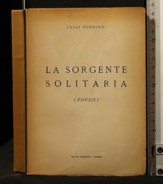 La Sorgente Solitaria - Luigi Cunsolo - copertina