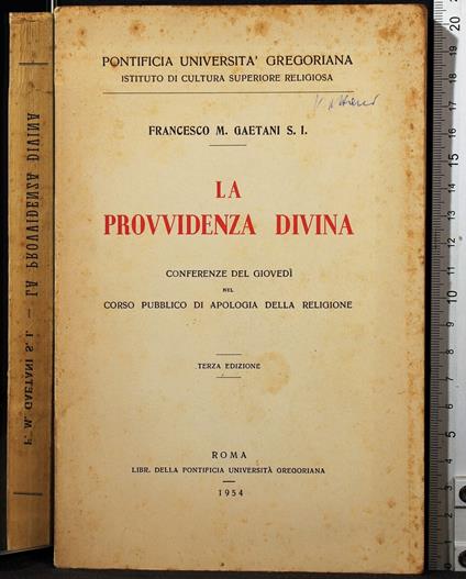La provvidenza divina - Francesco Gaetani - copertina