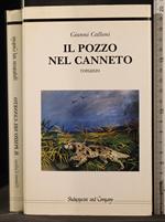 Il pozzo nel canneto