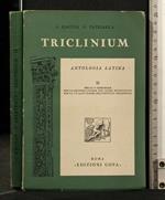 Triclinium Antologia Latina Vol 2