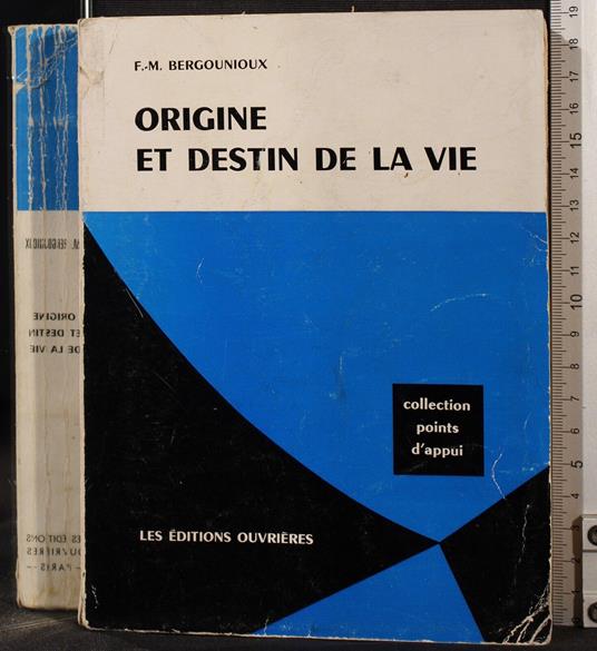 Origine et destin de la vie - Origine et destin de la vie di: Bergounioux - copertina