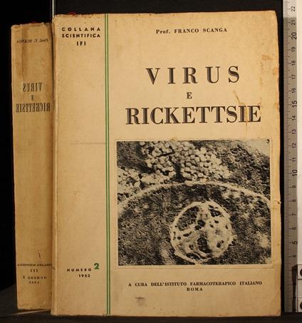 Virus e rickettsie - Virus e rickettsie di: Franco Scanga - copertina