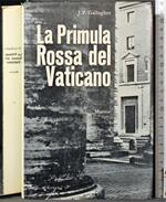 La primula rossa del Vaticano