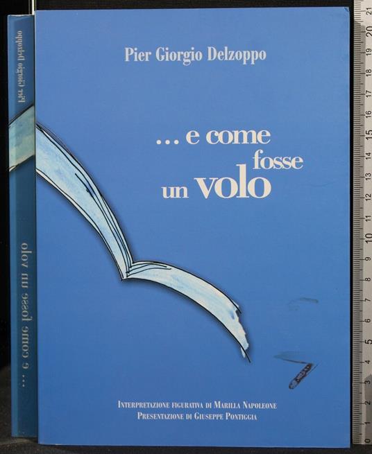 E Come Fosse Un Volo - E Come Fosse Un Volo di: Pier Giorgio Delzoppo - copertina