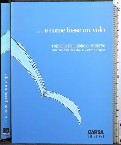 E come fosse un volo - E come fosse un volo di: Pier Giorgio Delzoppo - copertina