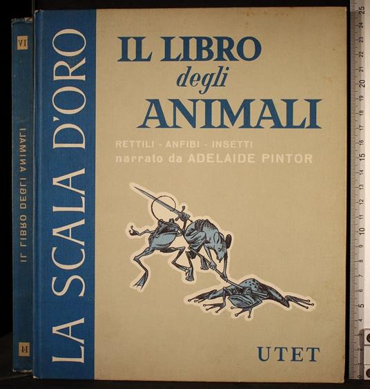 Il libro degli animali. Rettili-Anfibi-Insetti - libro degli animali. Rettili-Anfibi-Insetti di: Pintor - copertina