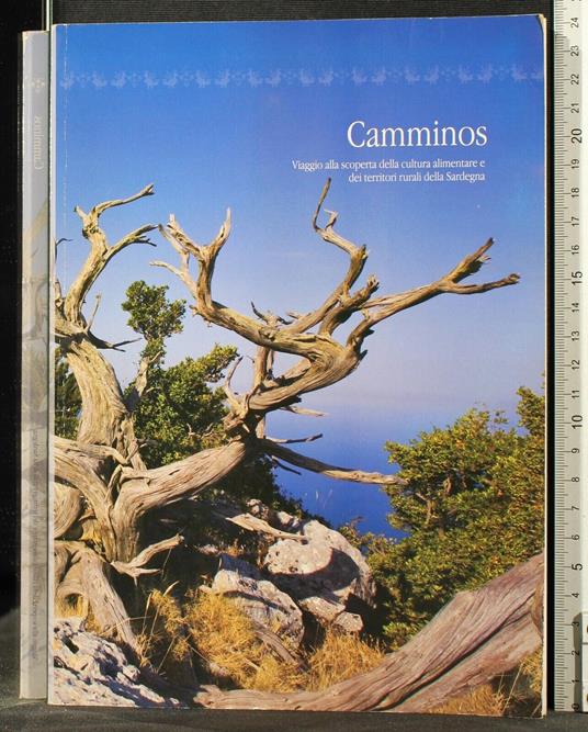 Camminos. Viaggio Alla Scoperta Della - Camminos. Viaggio Alla Scoperta Della di: Tedde - copertina