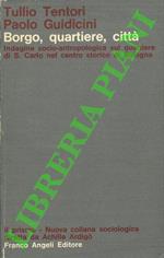 Borgo, quartiere, città. Indagine socio-antropologica sul quartiere di San Carlo nel centro storico di Bologna