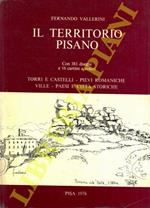 Il territorio pisano. Torri e castelli. Pievi romaniche. Ville. Paesi e città storiche