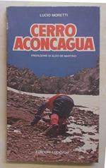 Cerro Aconcagua. Diario di una spedizione
