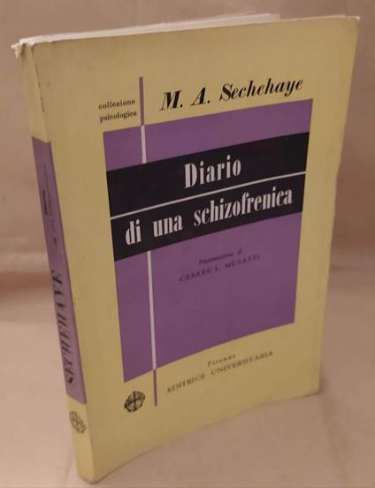 Diario di Una Schizofrenica  - copertina