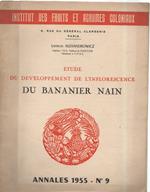 Etude Du Developpement De L'inflorescence Du Bananier Nain 