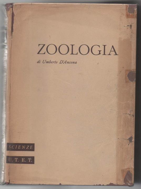 Trattato di Zoologia  - Umberto D'Ancona - copertina