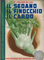 Il sedano- Il finocchio- Il cardo