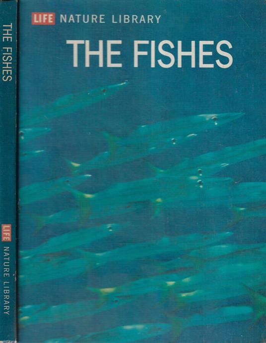 The fishes - Francis D Ommanney - copertina