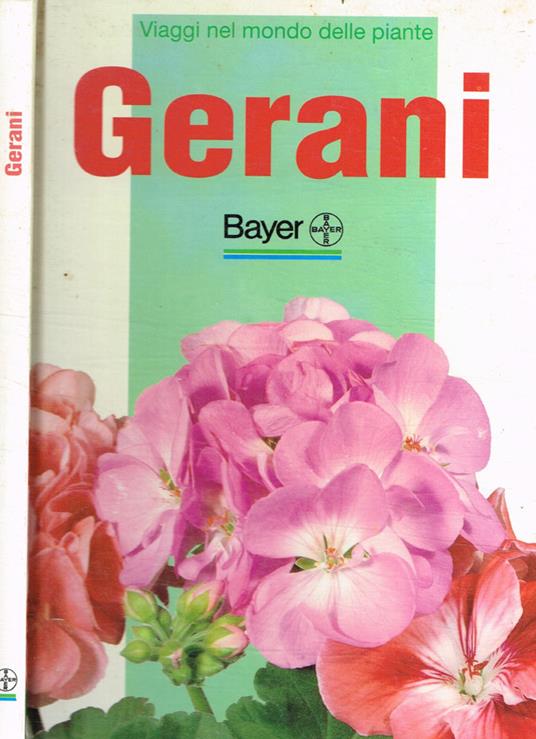 Gerani - Eliana Angiuli - copertina