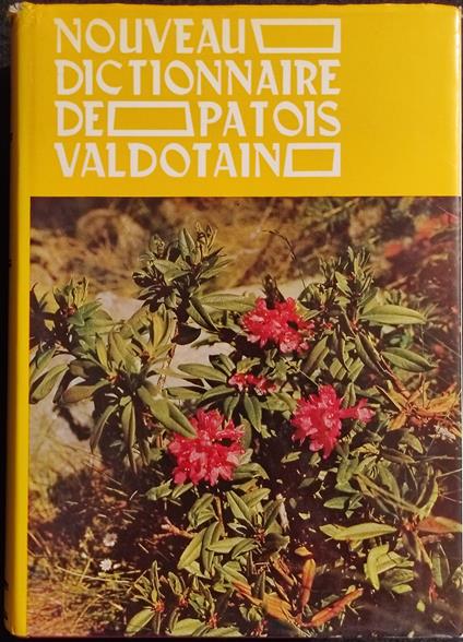 Nouveau Dictionnaire de Patois Valdotain - M-N - Ed. Musumeci - copertina