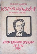 Le affinità elettive del Goethe