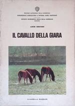 Il cavallo da giara