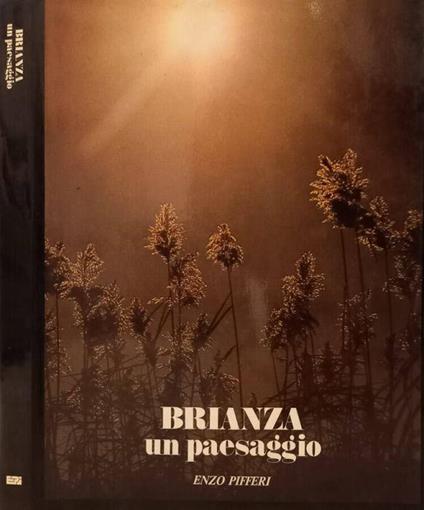 Brianza - Enzo Pifferi - copertina