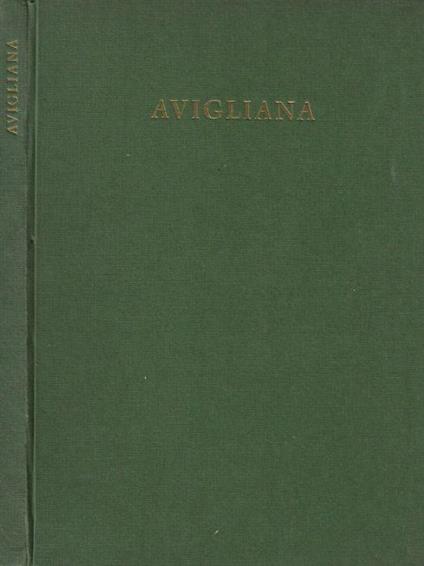 Avigliana - Pier Renato Casorati - copertina