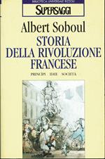 Storia della rivoluzione francese. Principi, idee, società