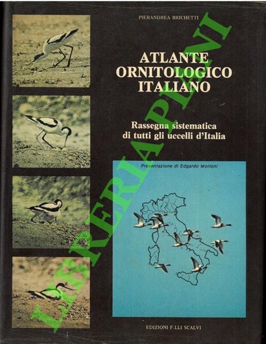 Atlante ornitologico italiano. Rassegna sistematica di tutti gli uccelli d'Italia. Volume I - Pierandrea Brichetti - copertina