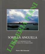 Sorella anguilla. Pesca e manifattura nelle valli di Comacchio