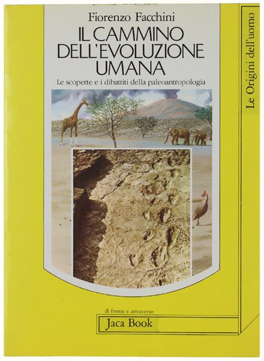 COMPENDIO DI FISICA E STORIA NATURALE fatto giusta le istruzioni ed i programmi governativi ad uso della scuole tecniche, normali e magistrali. - Riboldi Agostino, Marinoni Camillo. - Boniardi-Pogliani, - 1871 - copertina