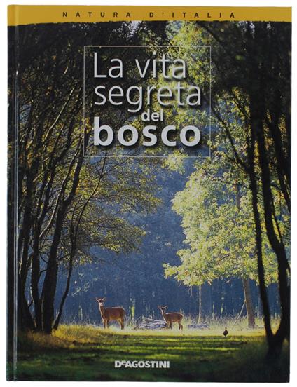 Vita Sereta Del Bosco  [Come Nuovo] - copertina