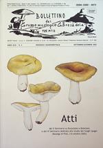 Atti del X Seminario su Russulales e Boletales e del VI seminario dedicato allo studio dei funghi ipogei: (Baselga di Piné, 2-6 ottobre 2002)