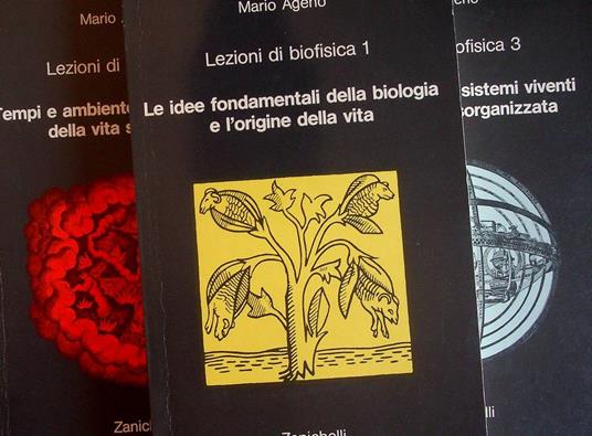 Lezioni di biofisica: 1. Le idee fondamentali della biologia e l'origine della vita; 2. Tempi e ambiente della comparsa della vita sulla terra; 3. La formazione dei sistemi viventi dalla materia disorganizzata - Mario Ageno - copertina