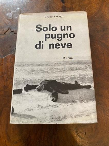 Solo un pugno di neve - Bruno Zavagli - copertina