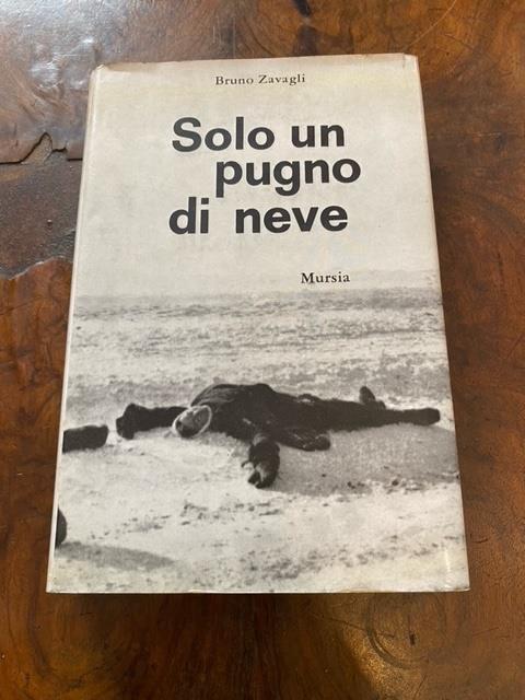 Solo un pugno di neve - Bruno Zavagli - copertina