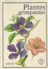 Plantes grimpantes - copertina