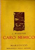 Caro Nemico - Daniel Webster - copertina