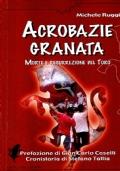 Acrobazie granata. Morte e resurrezione del Toro - Michele Ruggiero - copertina