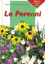 Le perenni (erbacee)