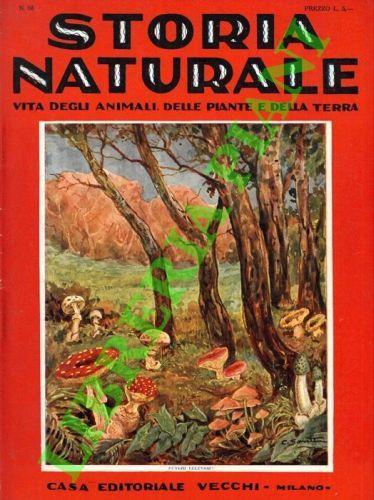 Storia naturale. Vita degli animali, delle piante e della terra. Volume III. Botanica - Michele Craveri - copertina