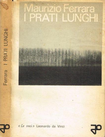 I prati lunghi - Maurizio Ferrara - copertina