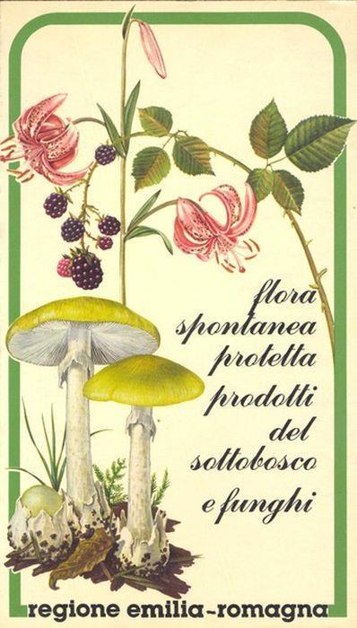 Flora Spontanea Protetta, Prodotti Del Sottobosco E Funghi - Alessandro Alessandrini - copertina