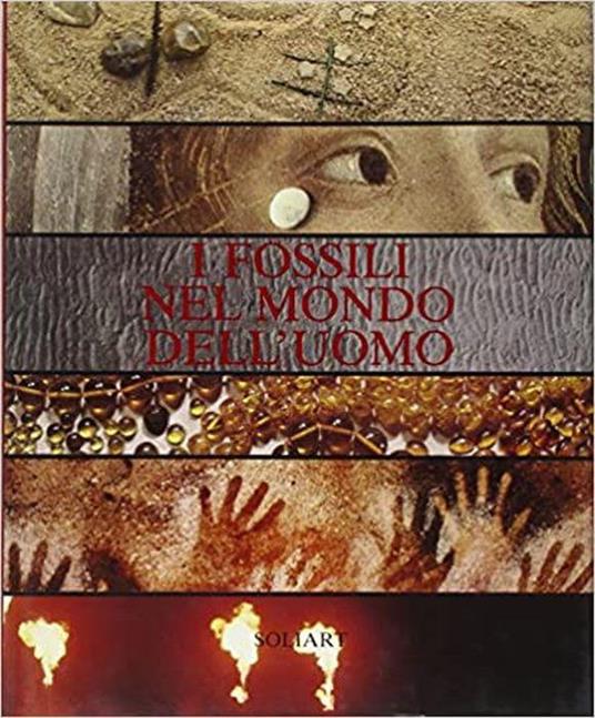 I Fossili Nel Mondo Dell'uomo - Enrico Annoscia - copertina