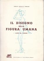 Disegno Della Figura Umana