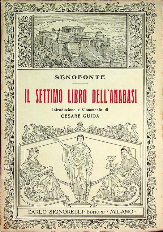 Il settimo libro dell’Anabasi - copertina