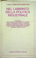 Nel labirinto della politica industriale: interviste a Giuliano Amato, Nino Andreatta, Rodolfo banfi, Francesco Cingano. Napoleone Colajanni, Giuseppe La Loggia, Giancarlo Lizzeri, Giovanni Andrea Marcora, Franco Mattei, Franco Momigliano, Giuseppe d