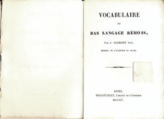 Vocabulaire du bas langagerémo is - copertina