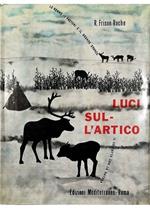 Luci sull'Artico